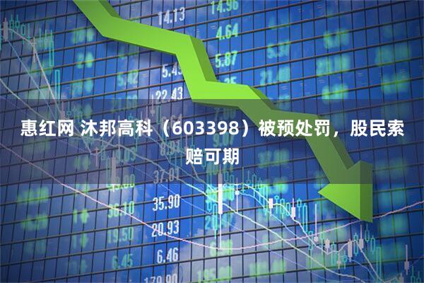 惠红网 沐邦高科（603398）被预处罚，股民索赔可期