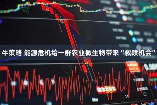 牛策略 能源危机给一群农业微生物带来“救赎机会”