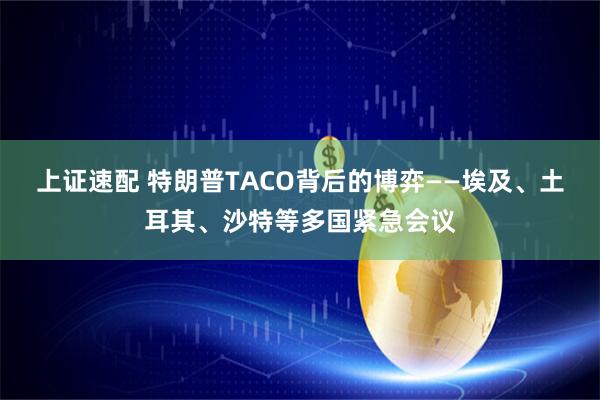 上证速配 特朗普TACO背后的博弈——埃及、土耳其、沙特等多国紧急会议