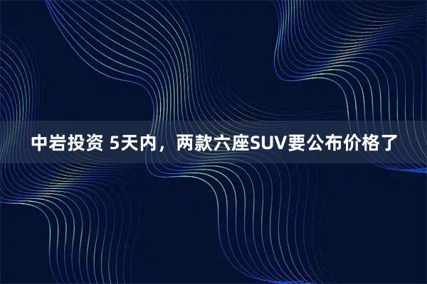 中岩投资 5天内，两款六座SUV要公布价格了