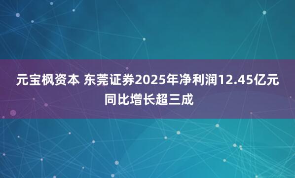 元宝枫资本 东莞证券2025年净利润12.45亿元 同比增长超三成