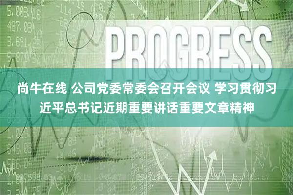 尚牛在线 公司党委常委会召开会议 学习贯彻习近平总书记近期重要讲话重要文章精神