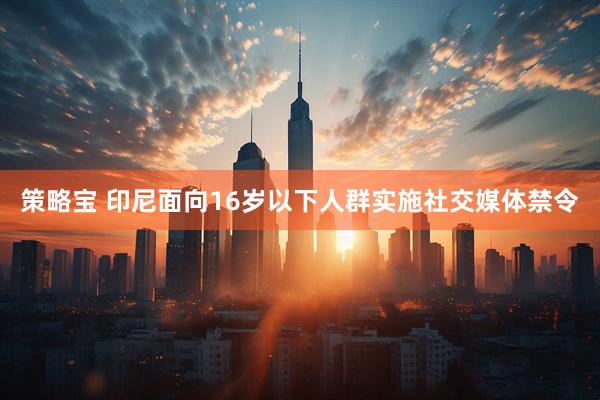 策略宝 印尼面向16岁以下人群实施社交媒体禁令