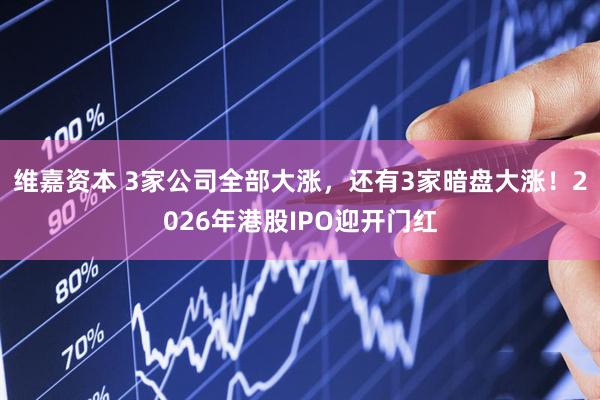 维嘉资本 3家公司全部大涨，还有3家暗盘大涨！2026年港股IPO迎开门红