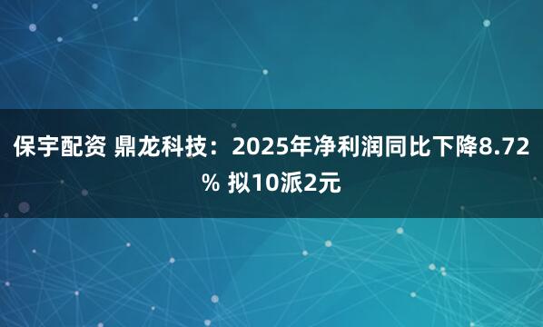 保宇配资 鼎龙科技：2025年净利润同比下降8.72% 拟10派2元