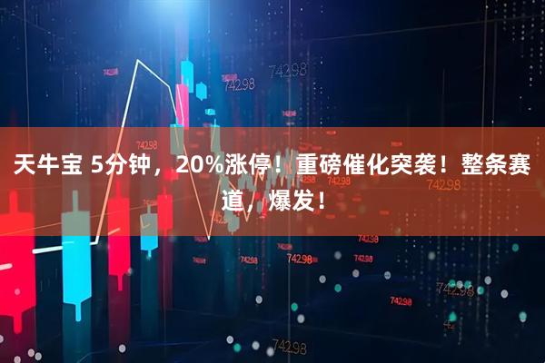 天牛宝 5分钟，20%涨停！重磅催化突袭！整条赛道，爆发！