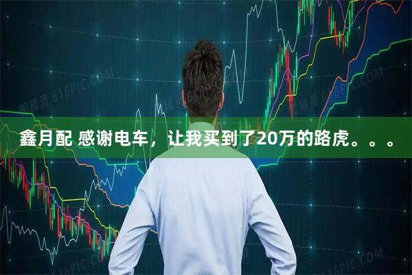 鑫月配 感谢电车，让我买到了20万的路虎。。。