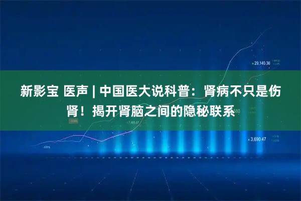 新影宝 医声 | 中国医大说科普：肾病不只是伤肾！揭开肾脑之间的隐秘联系