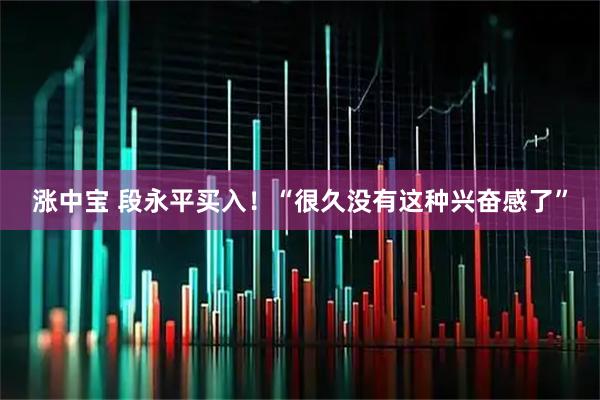 涨中宝 段永平买入！“很久没有这种兴奋感了”