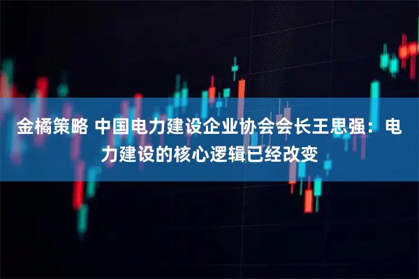 金橘策略 中国电力建设企业协会会长王思强：电力建设的核心逻辑已经改变