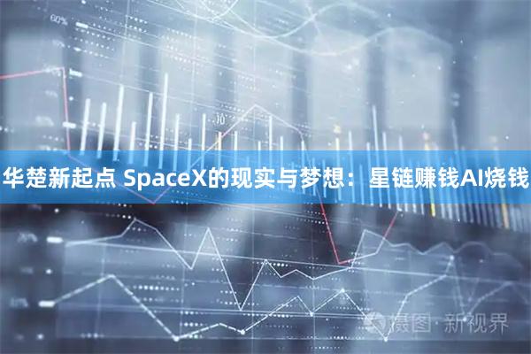华楚新起点 SpaceX的现实与梦想：星链赚钱AI烧钱