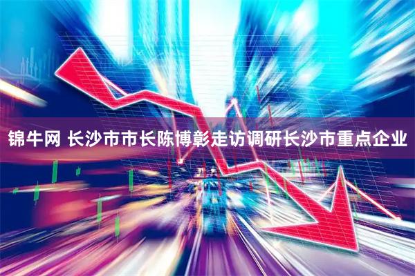 锦牛网 长沙市市长陈博彰走访调研长沙市重点企业