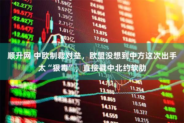 顺升网 中欧制裁对垒，欧盟没想到中方这次出手太“狠毒”，直接戳中北约软肋