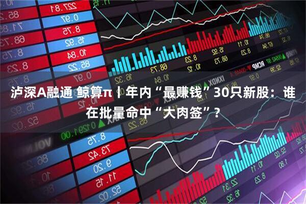 泸深A融通 鲸算π丨年内“最赚钱”30只新股：谁在批量命中“大肉签”？